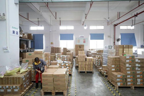 家門口的機遇 賓陽電子廠招工，提供食宿，探索互聯網銷售新方向