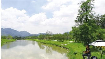 從昔日洼地到今日景區(qū) 村企抱團，繪就旅游開發(fā)新畫卷