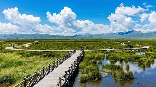 旅行社服務行業(yè)與旅游開發(fā)的融合發(fā)展趨勢